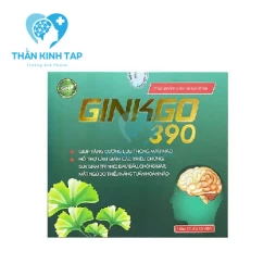 Ginkgo 390 - Giúp tăng cường lưu thông máu não